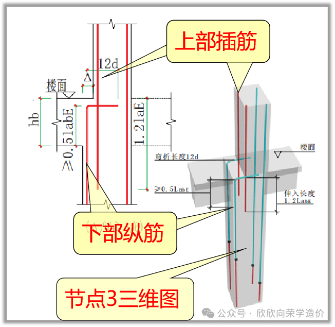 柱截面钢筋的标注图解图片