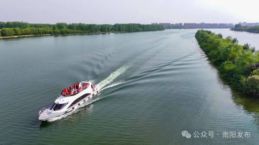 游南阳 正当时_月季_游园_白河