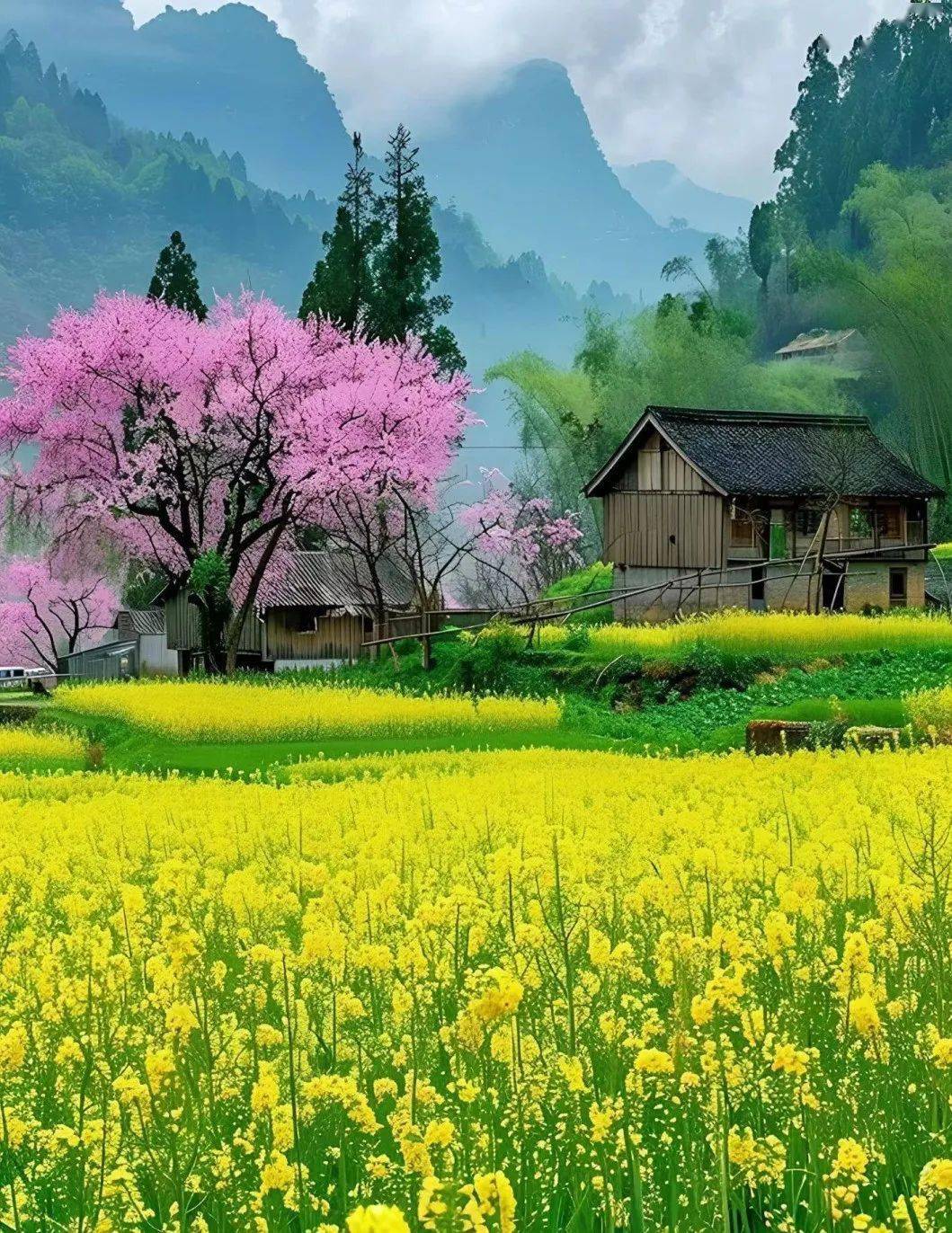 一幅丹青未尽的画卷,春天之美