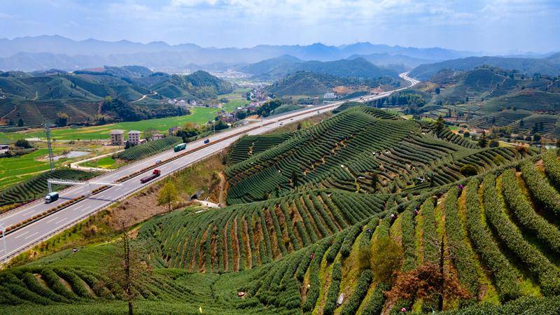 杭州绕城西复线:推进交旅融合 打造乡村振兴新引擎