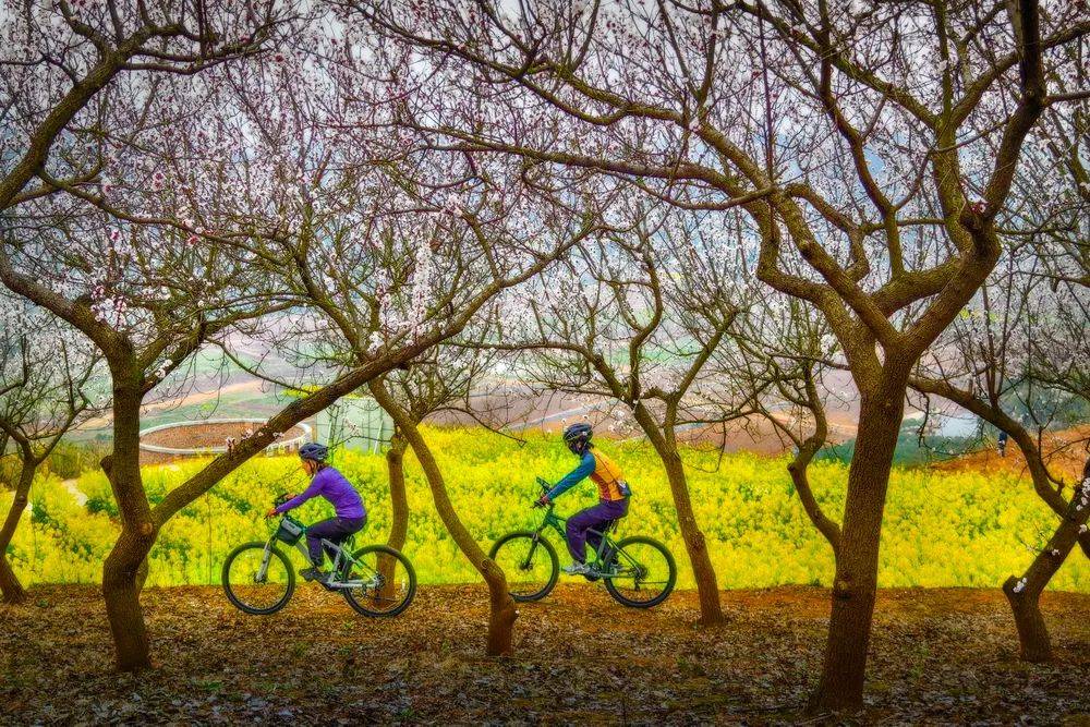 礼赞生命,探索世界 | 中国摄影报"2024vivo影像加"月度手机摄影作品