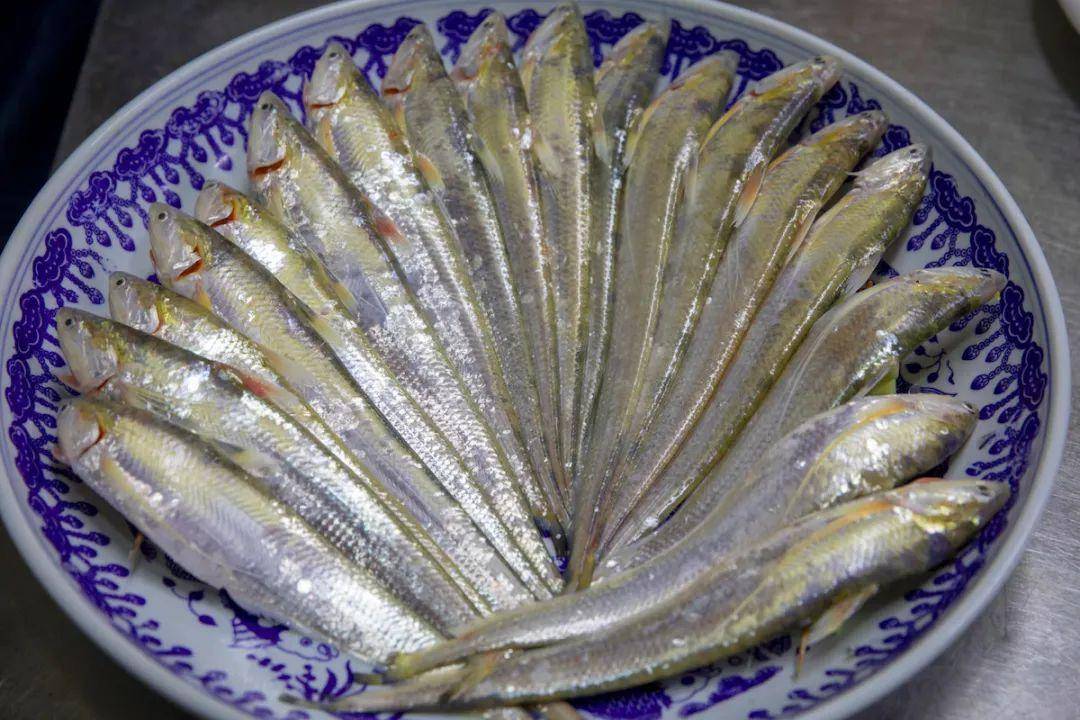 吸汤包,撸河豚,浪在中国江鲜之乡