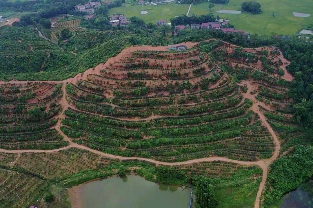 万安县:聚焦提升"三力" 探索乡村产业"三方得利"模式