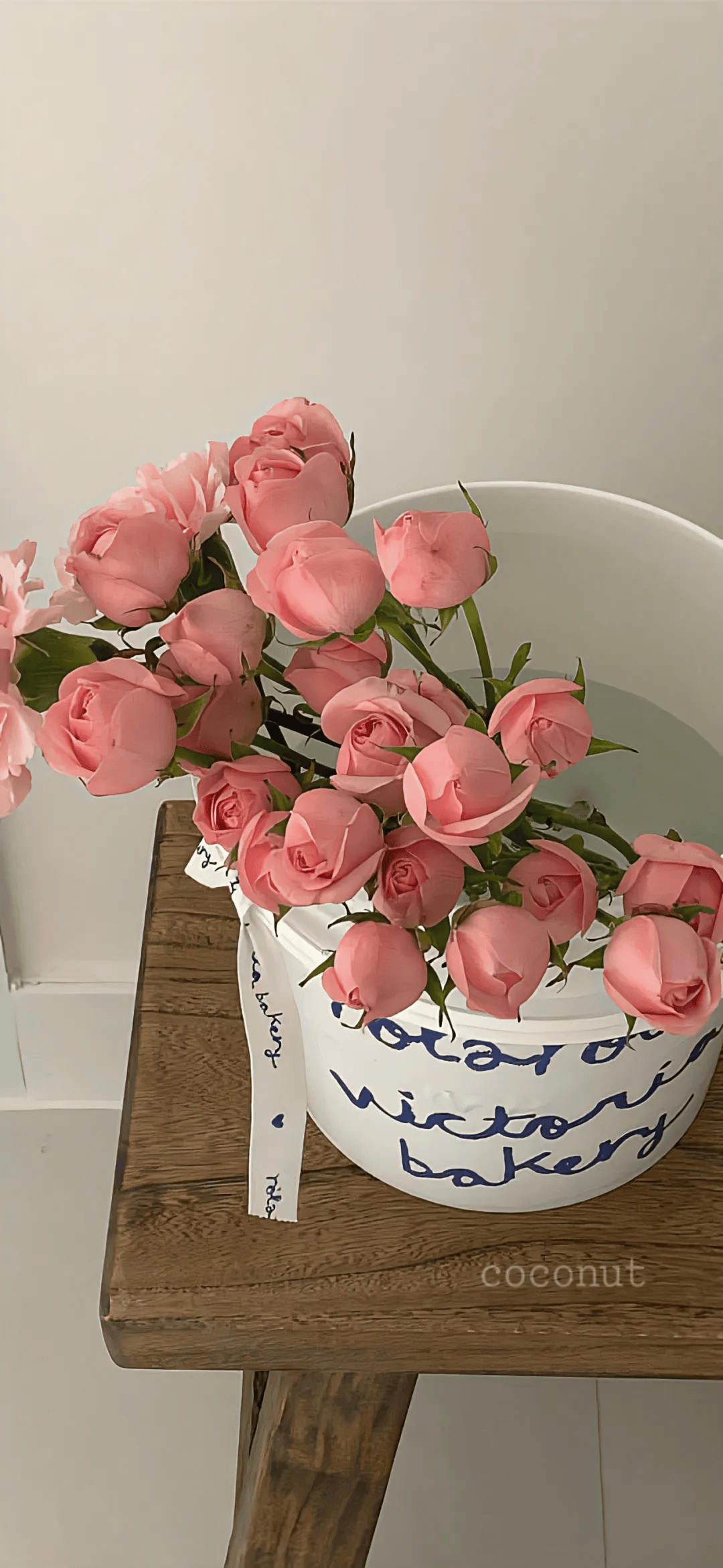 壁纸 | 元气满满的高清壁纸