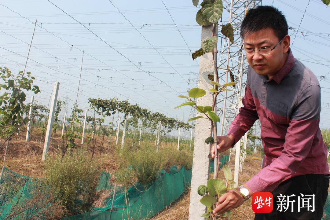 孙飞:创优产品销路畅,农民真正富起来