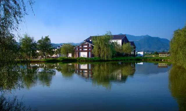 贾家古村瑞州府衙元青花博物馆巴夫洛贾家古村day2巴夫洛—元青花博物