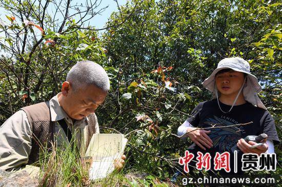 贵州道真:开展护野生动植物调查 保护生物多样性