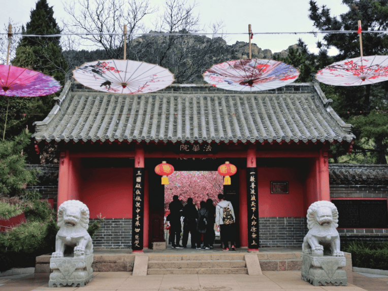 威海赤山樱花节引来韩国obs电视台综艺节目拍摄