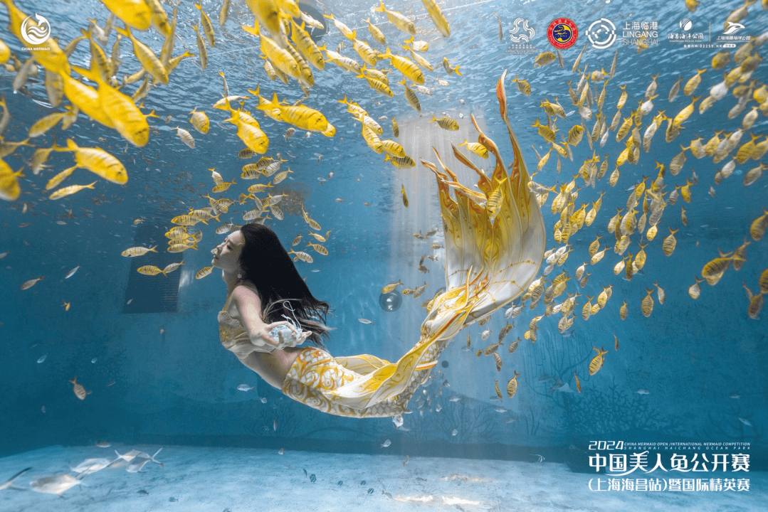 2024年首场中国美人鱼公开赛暨国际精英赛在上海海昌海洋公园圆满落幕