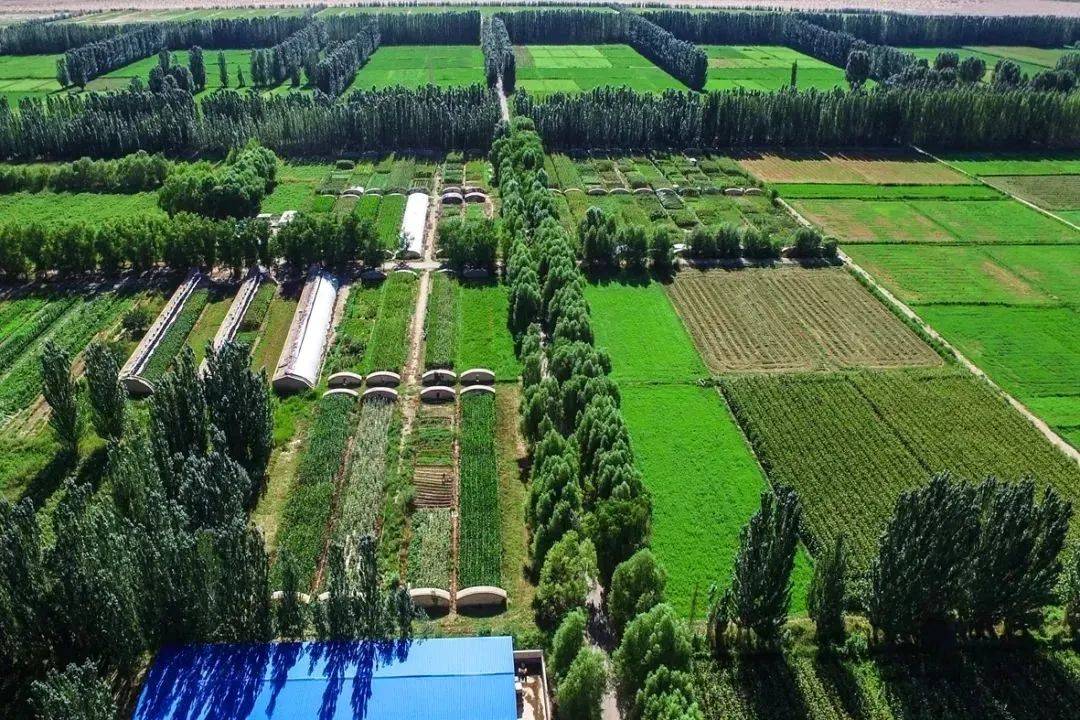 阿克塞"链"上做文章 聚力打造特色产业集群