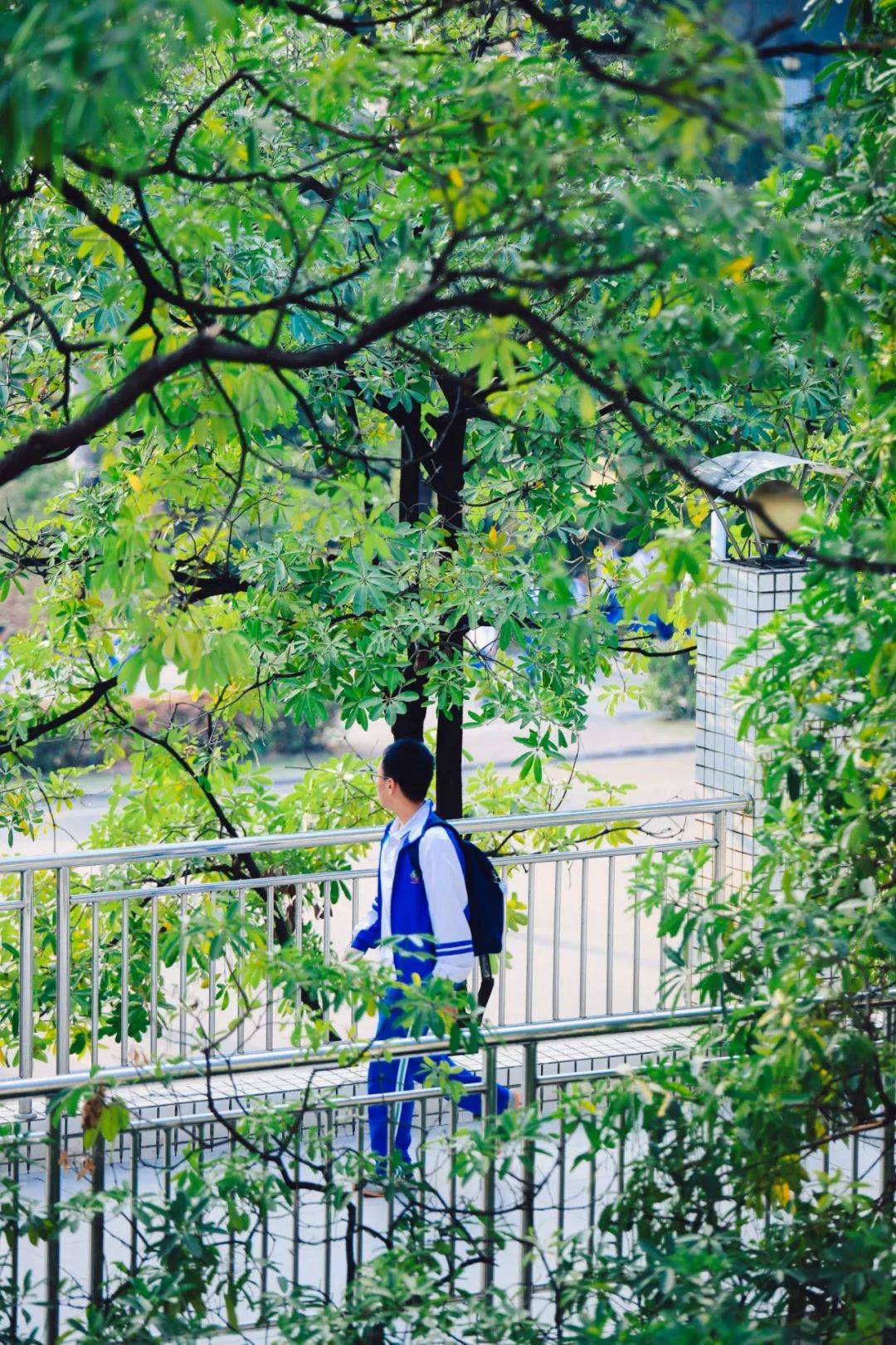 中山华实一周要闻(04.14-04.21)