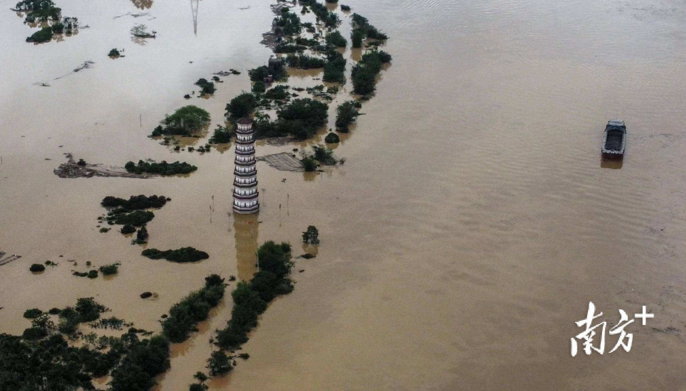 洪峰过境英德_天气_广东_防汛