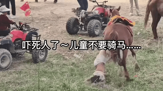 河南荥阳马匹拖行游客,孩子父亲发声:遗憾没给孩子佩戴头盔