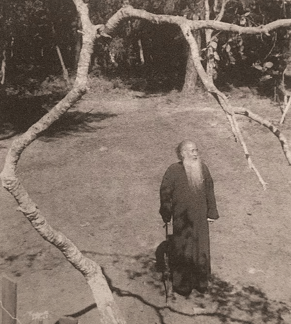 被误读的"张谢之交"