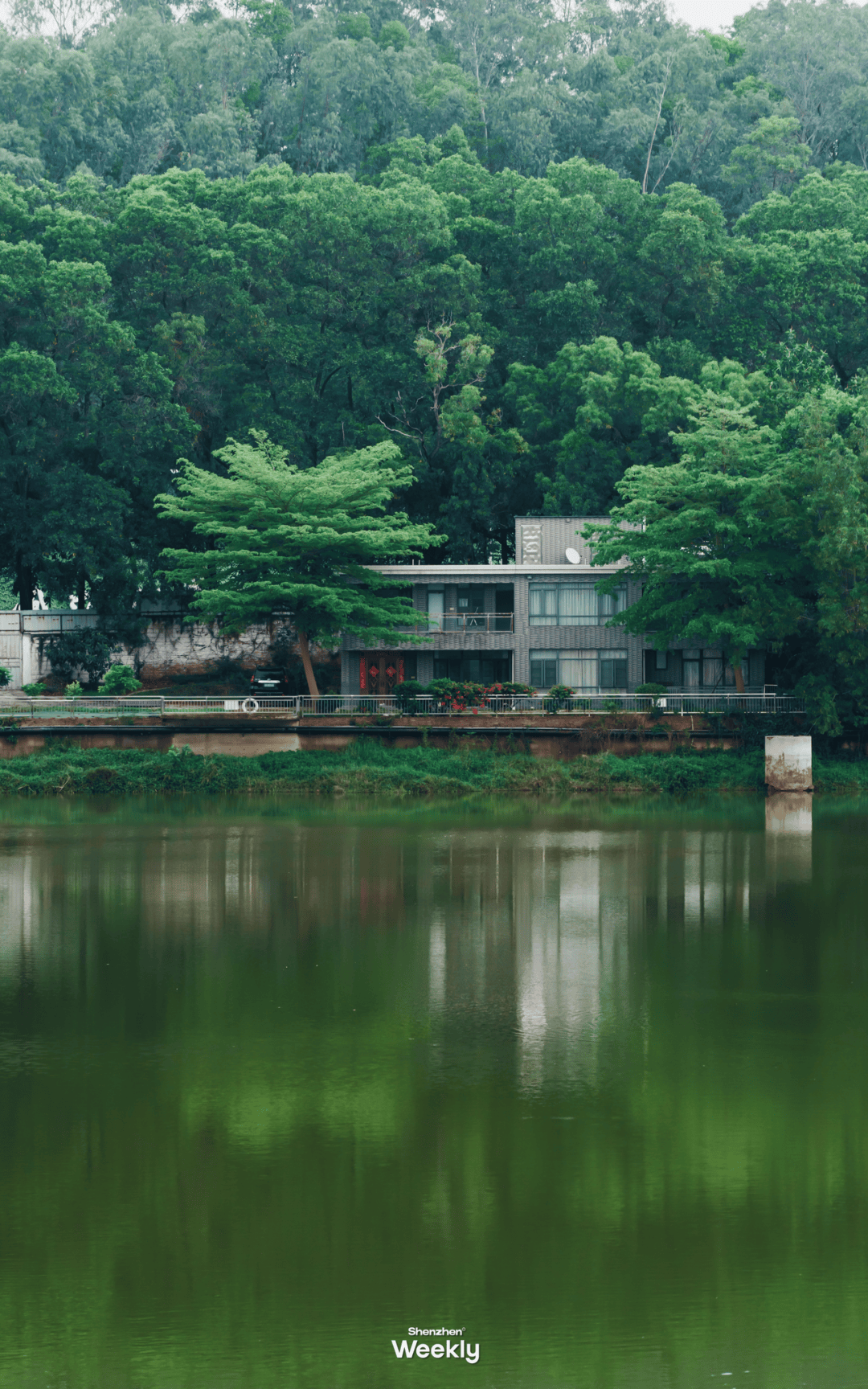 别再下雨了,想去逛深圳新开放的「银丝带」_版画_湖水_观澜