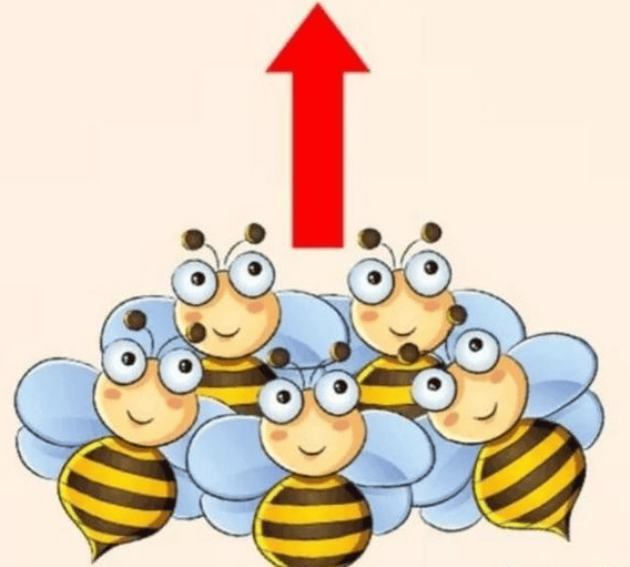 4.23