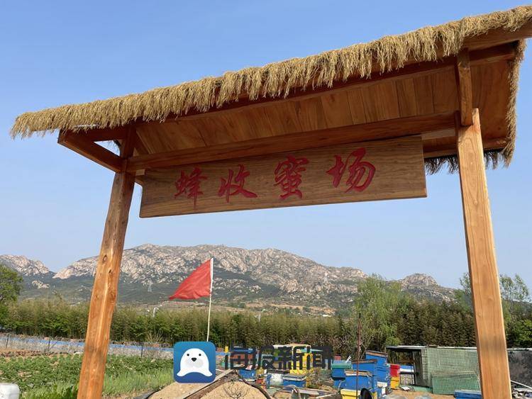 一起追赶春天,日照哥俩经营起"甜蜜的事业"