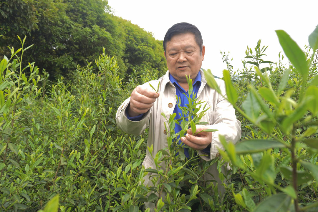 冉老汉“采矿之变”_发展_孟溪镇_冉敏