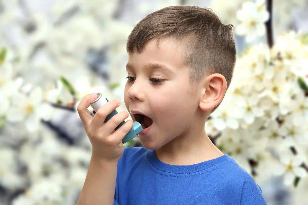 花粉杨絮漫天，呼吸道过敏的孩子如何应对？