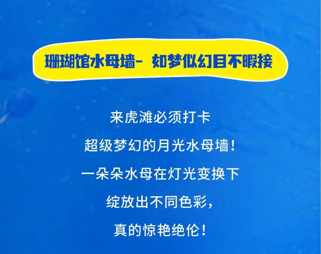 给"王者"取名,送老虎滩门票!