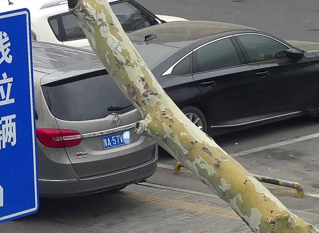 鲁C663**、鲁C3VB**……就在淄博街头，都拍下来了！_违法_时间_地点