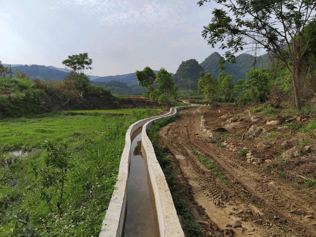 驮卢镇屯村村:扎实推进高标准农田项目建设_农业_水渠_校对