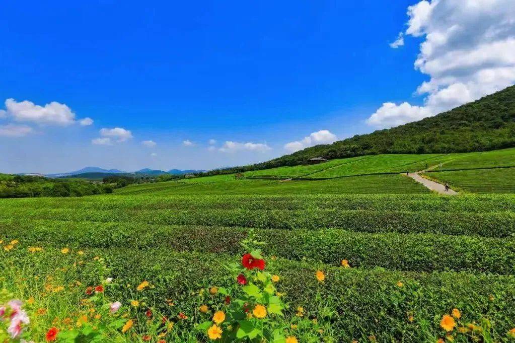 到"蓬"友多的田园过"五一"——最"悠"乡野露营地推荐_