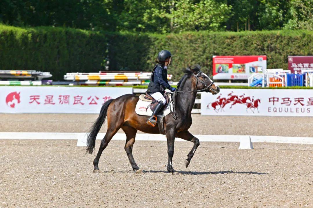 图集 | 2024北京舞者马术盛装舞步俱乐部联赛第2站圆满落幕!
