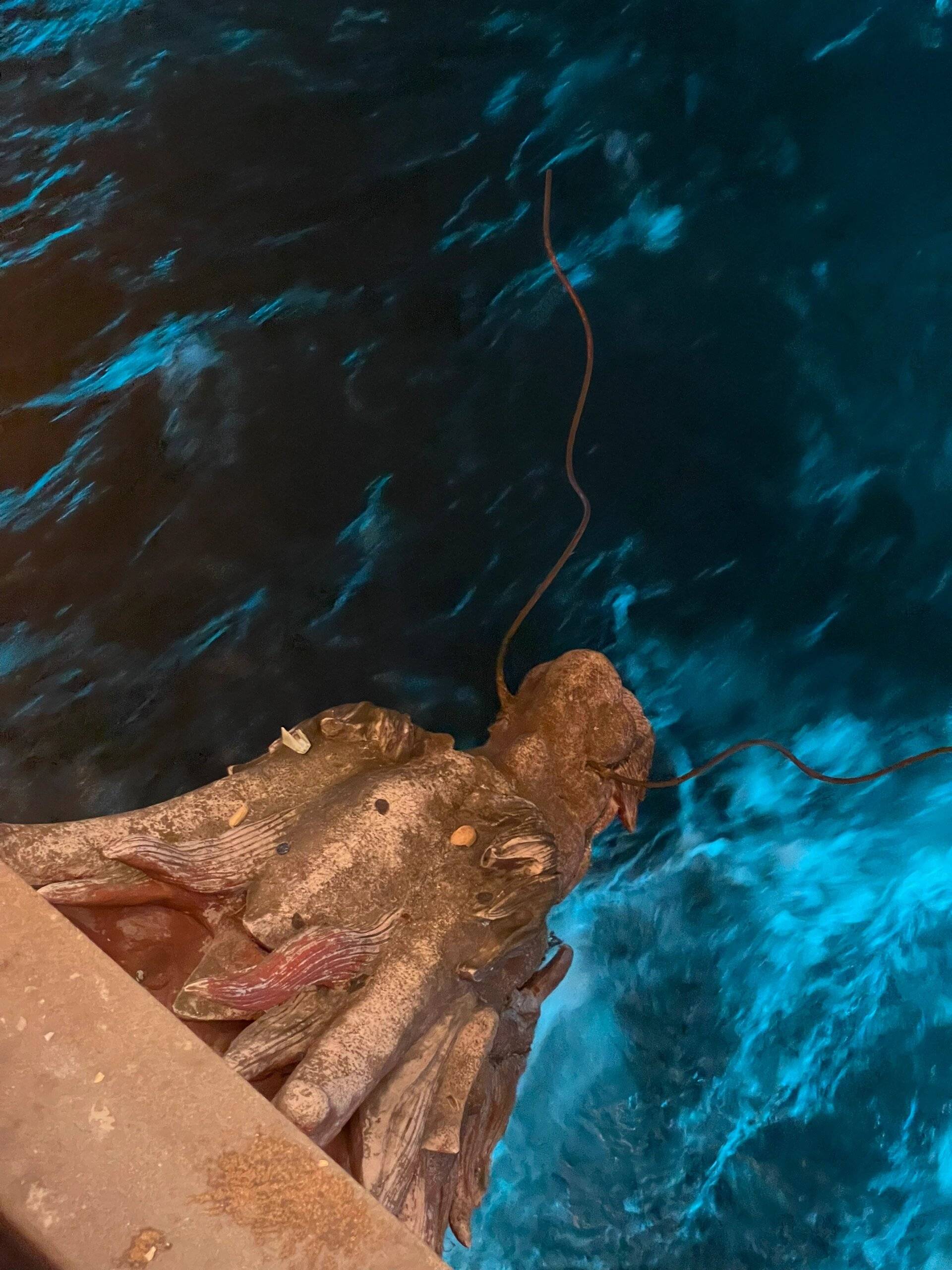 壁纸 桌面 1920_2560 竖版 竖屏 手机