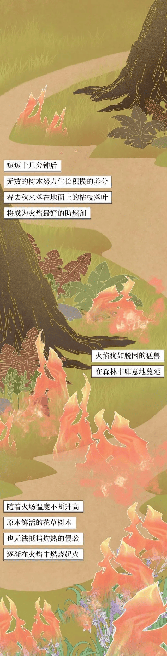 一图读懂 i 森林火灾那些事儿