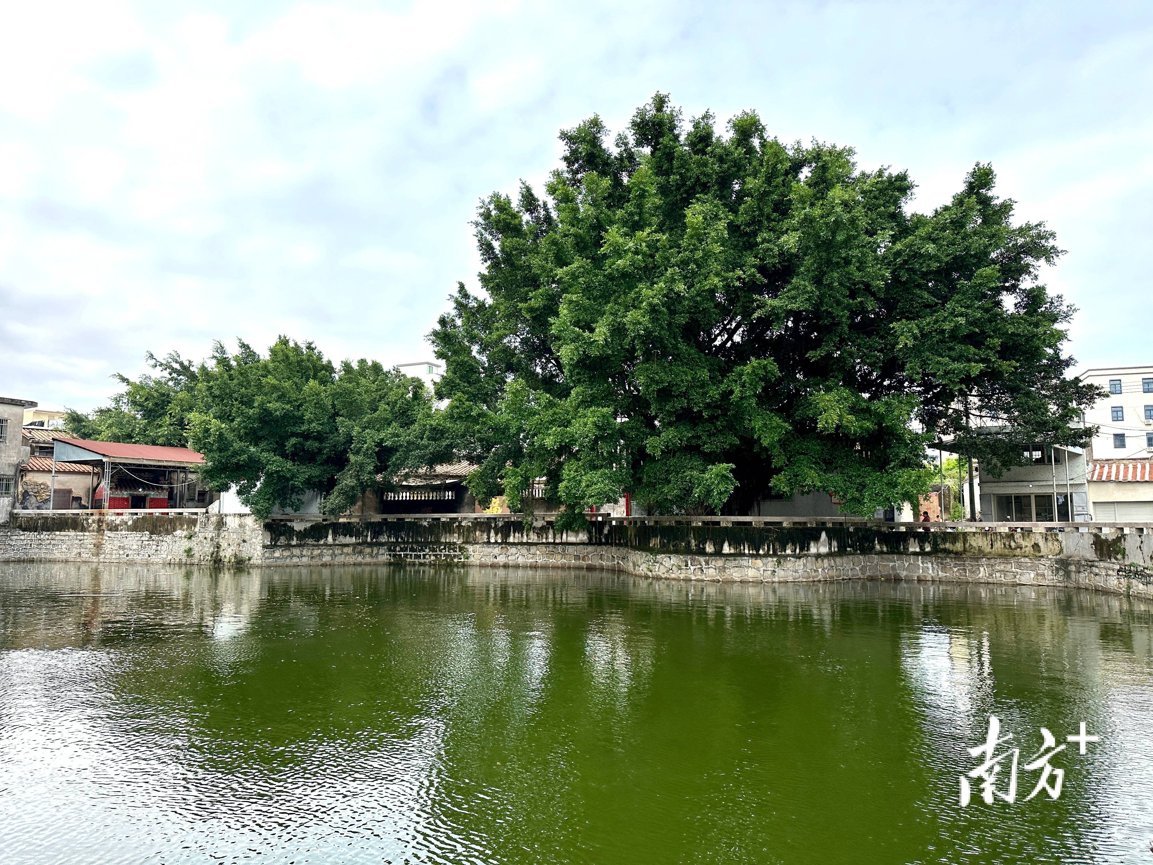 达濠东湖村图片