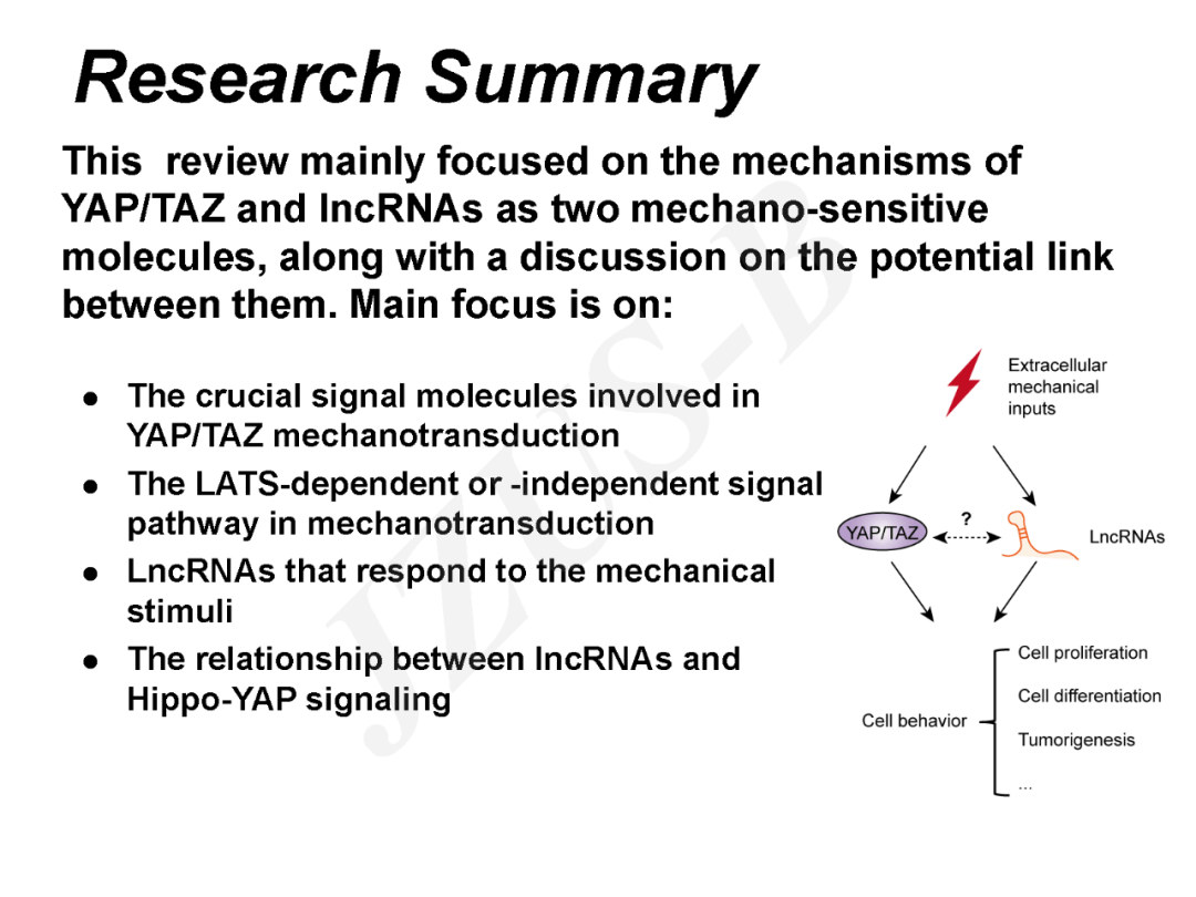 浙江大学林思怡,林爱福等:lncrnas在机械转导中的作用