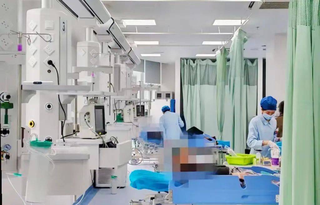 硬件软件“双升级”,普陀区中心医院急诊综合楼运行顺畅_手术_患者_家长