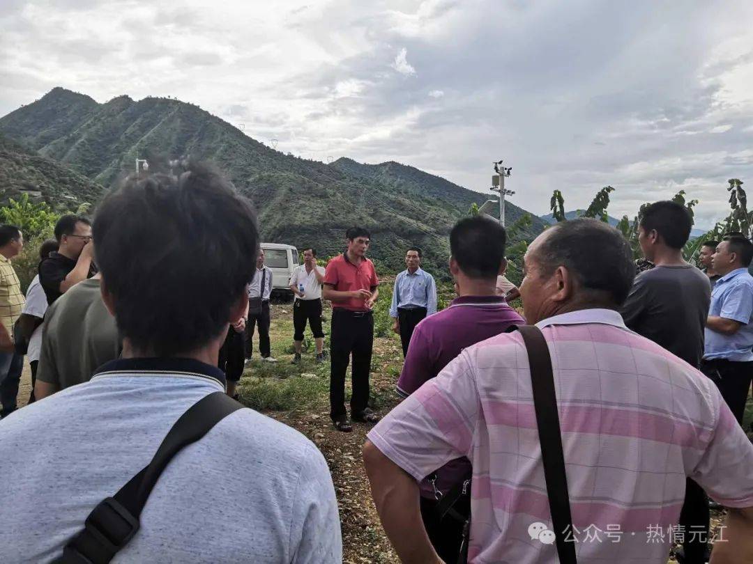 【元江工匠】普亚云:点石成"金" 荒山披绿