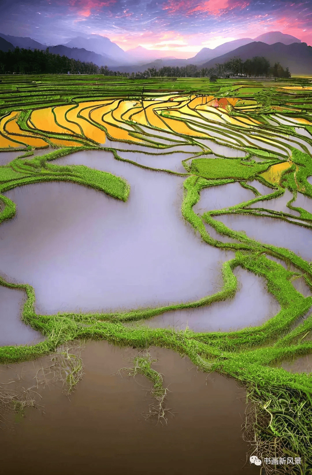 一组田园美景