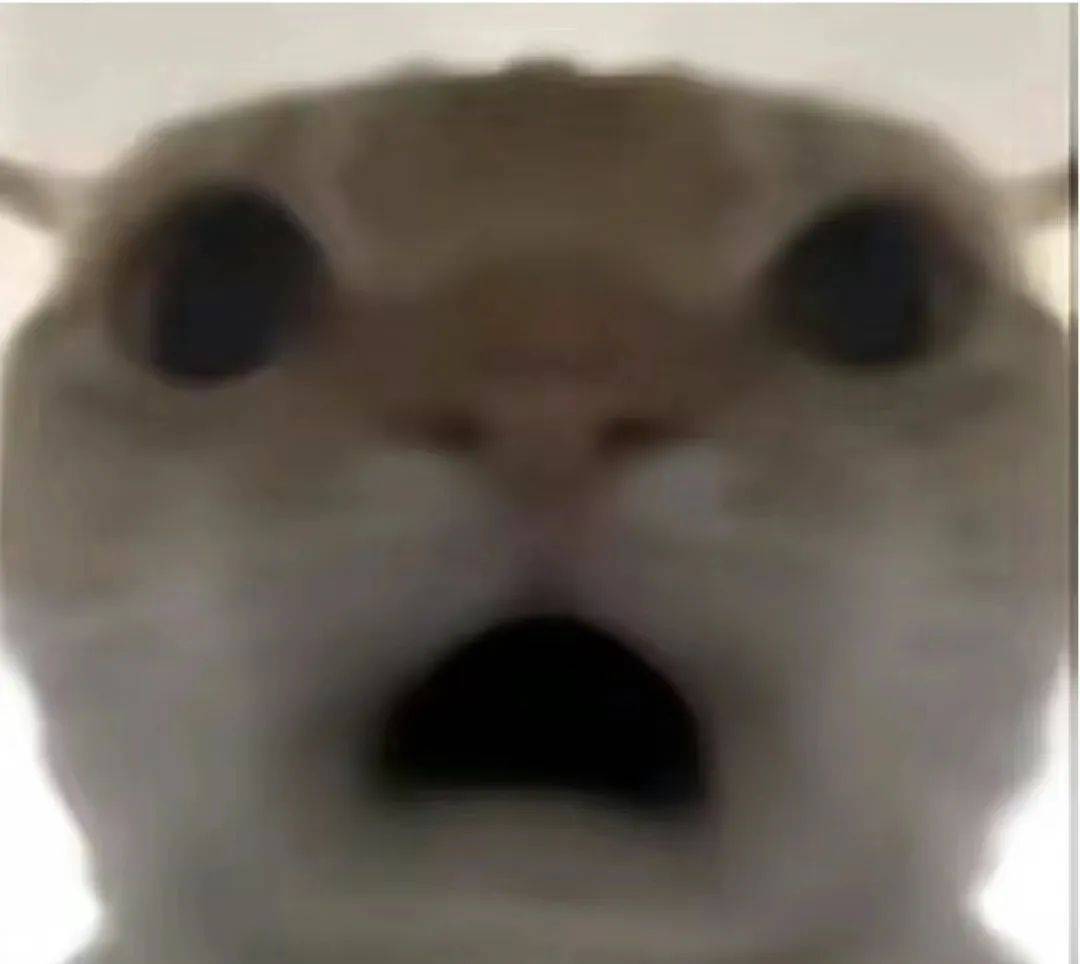 亚比~囧囧囧(大学版)