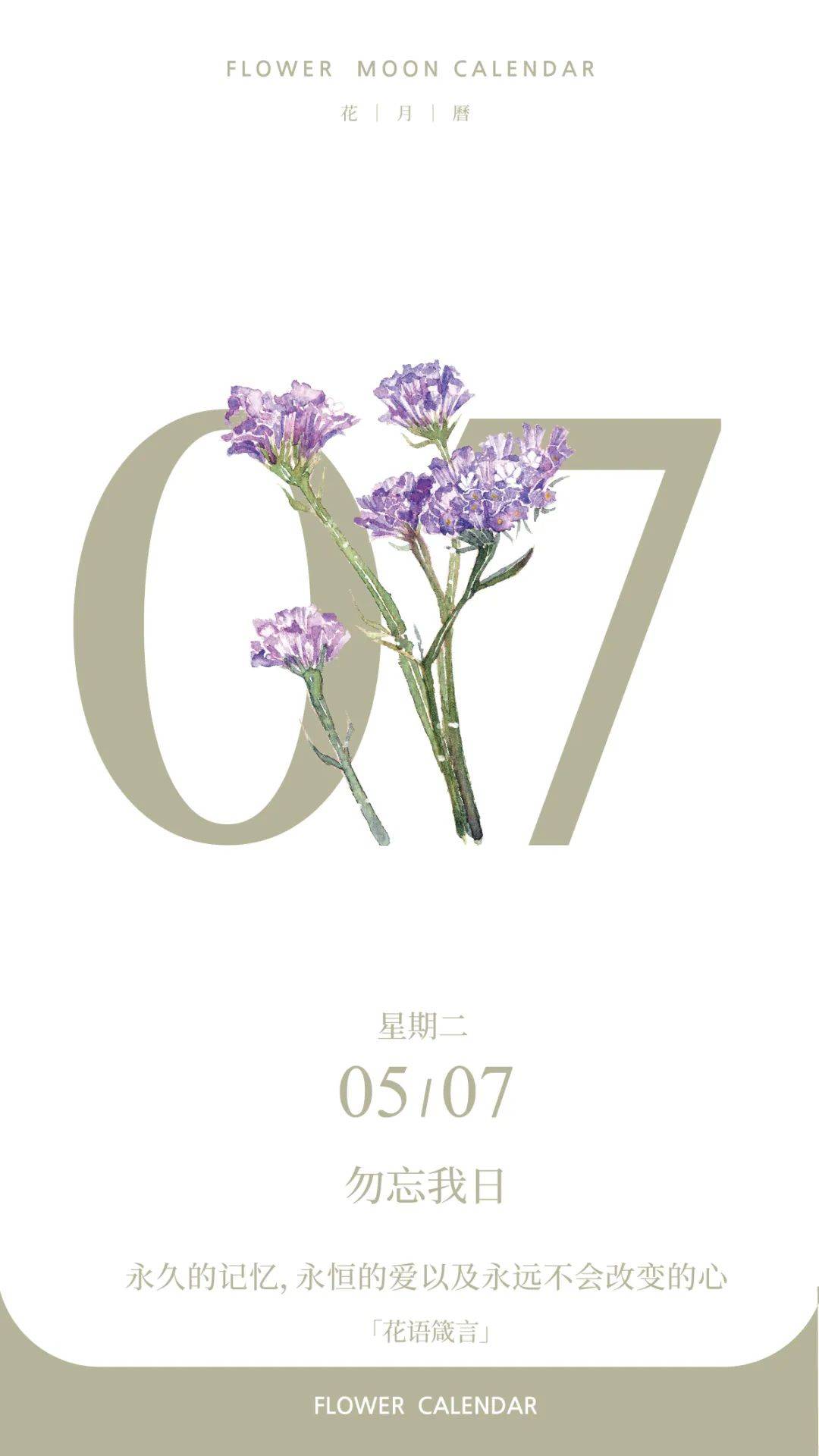 5月7日花历|勿忘我