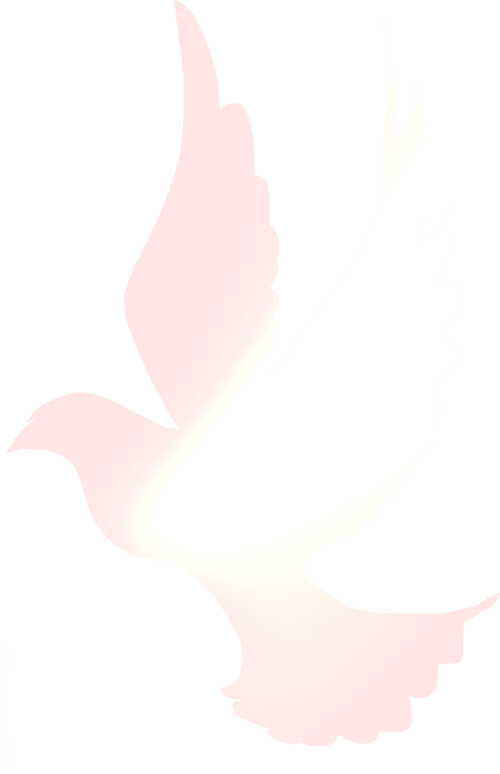 "三旧"改造领头羊黄耀均