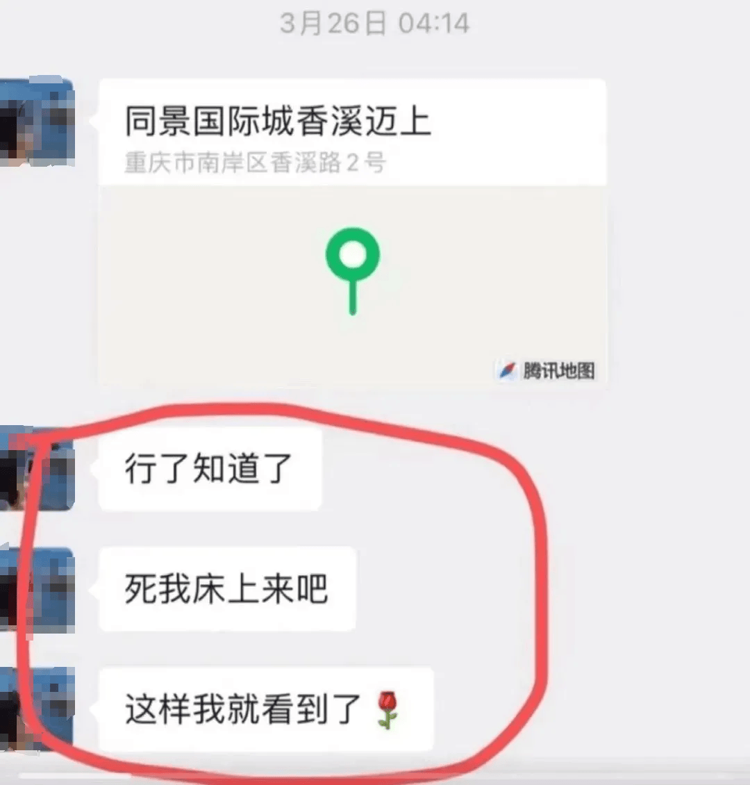 "胖猫之死"又爆后续,这8个真相,不该沉入江底