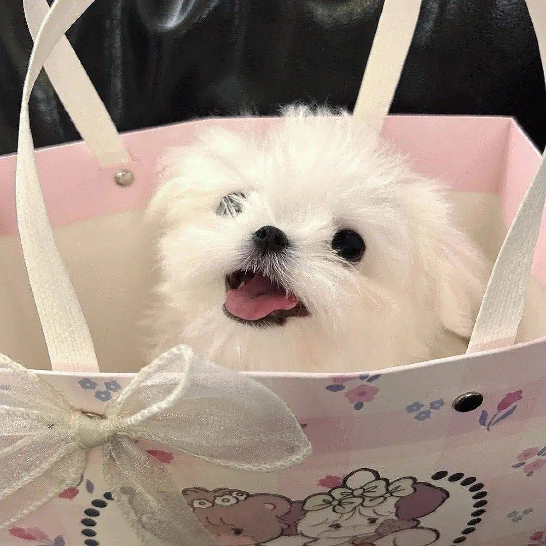 头像 | 一看就想换的微信头像