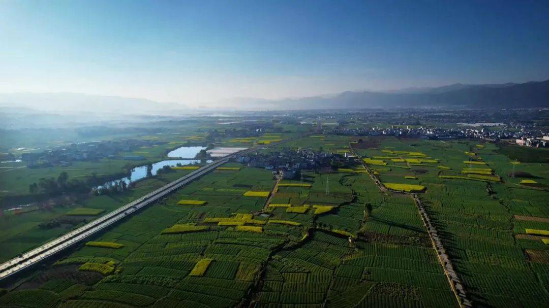 守住耕地红线 护好粮食安全