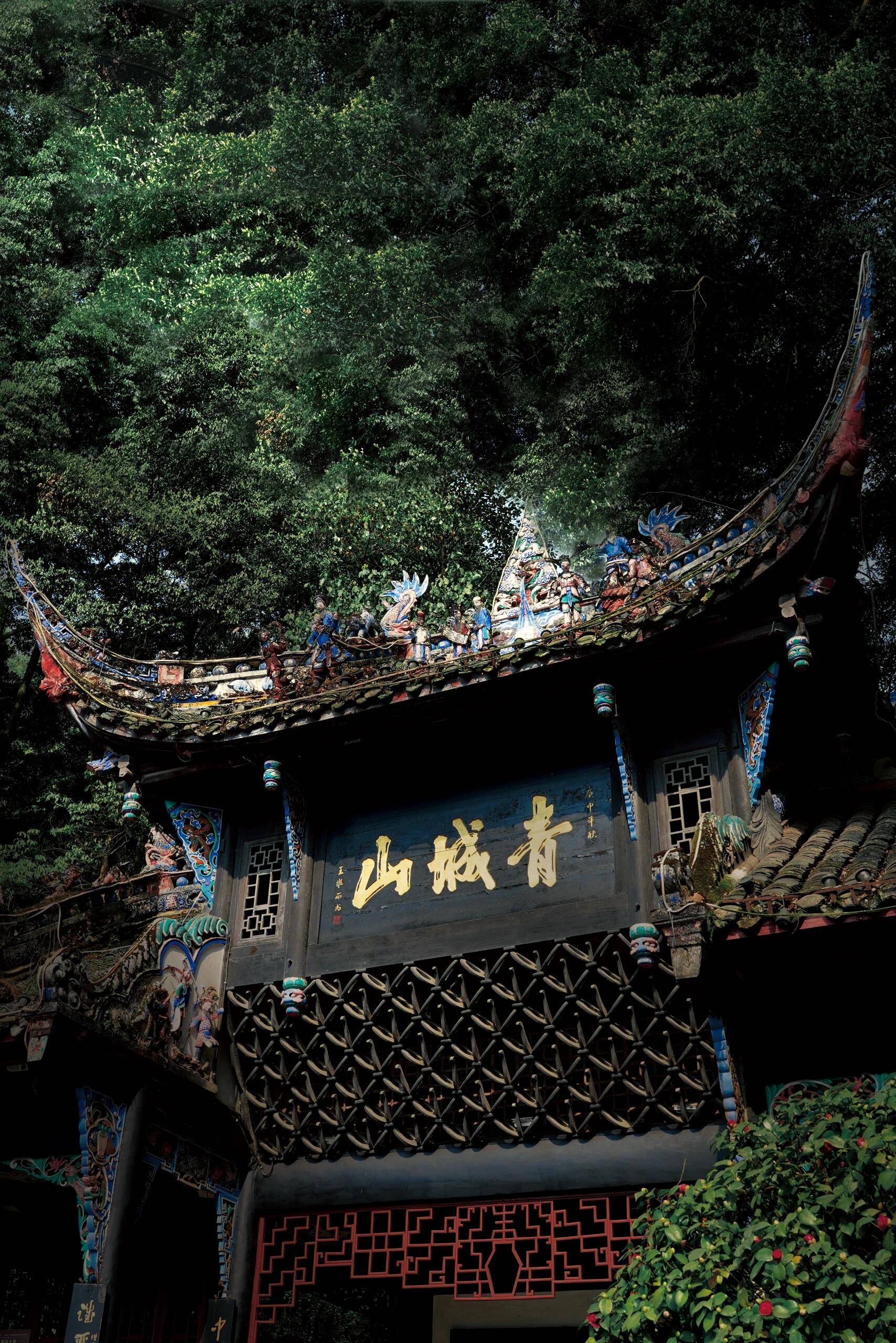 四川峨眉山旅游景点大佛 ,本地人加班整理攻略,存下吧