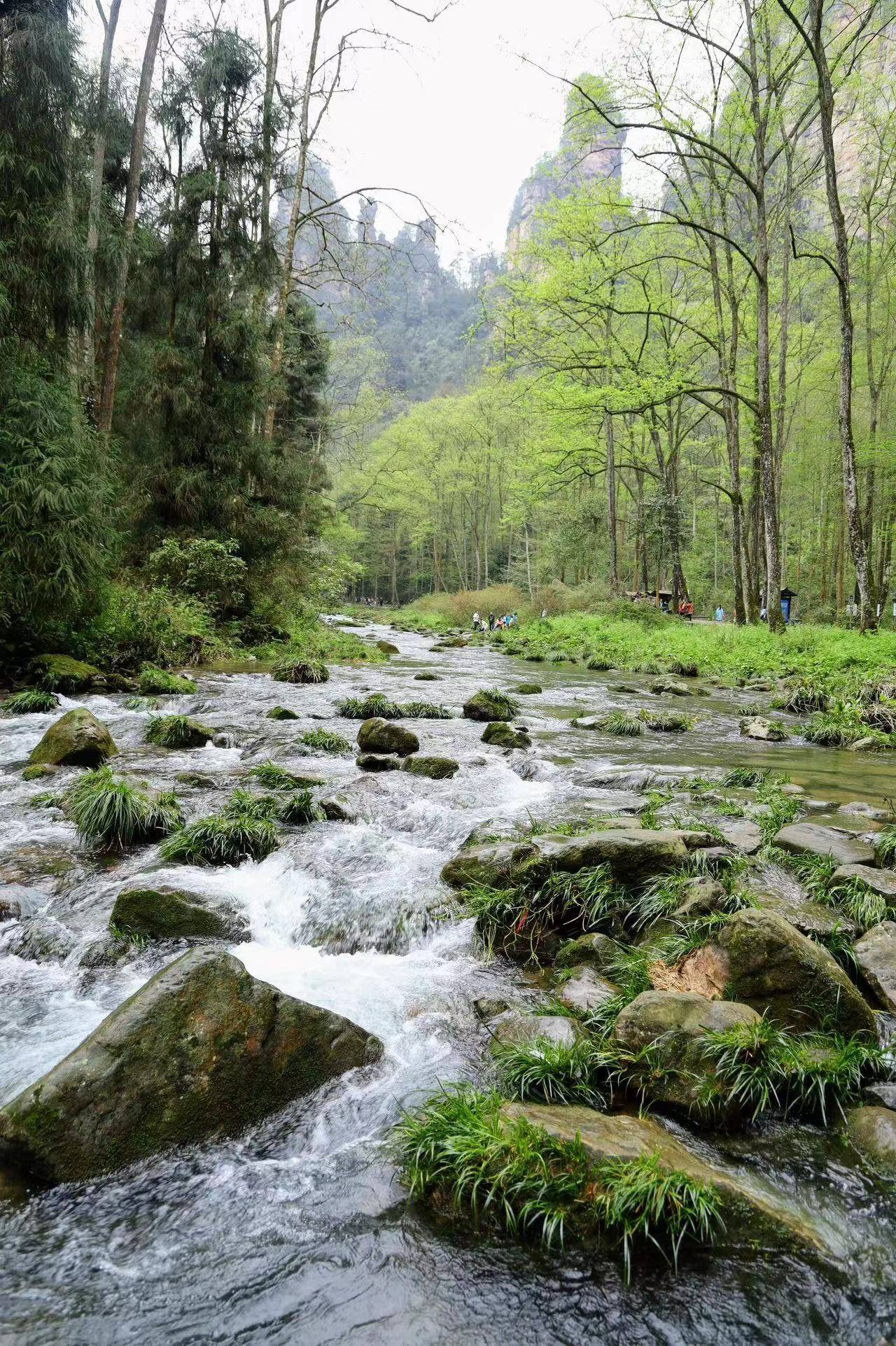 湖南张家界自驾游路线 ,必去景点推荐&注意事项!