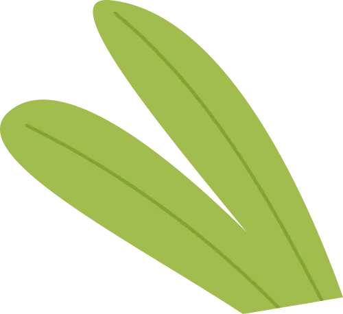 如何在"反向旅游"的热潮中抓住机遇?