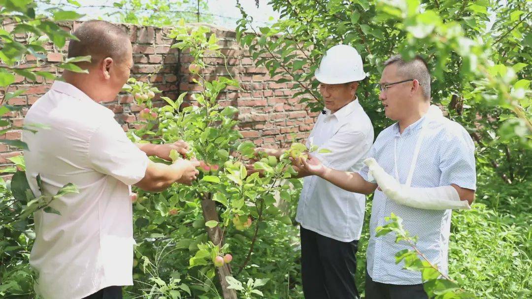 扶余市:庭院"方寸地" 开出增收"致富花"