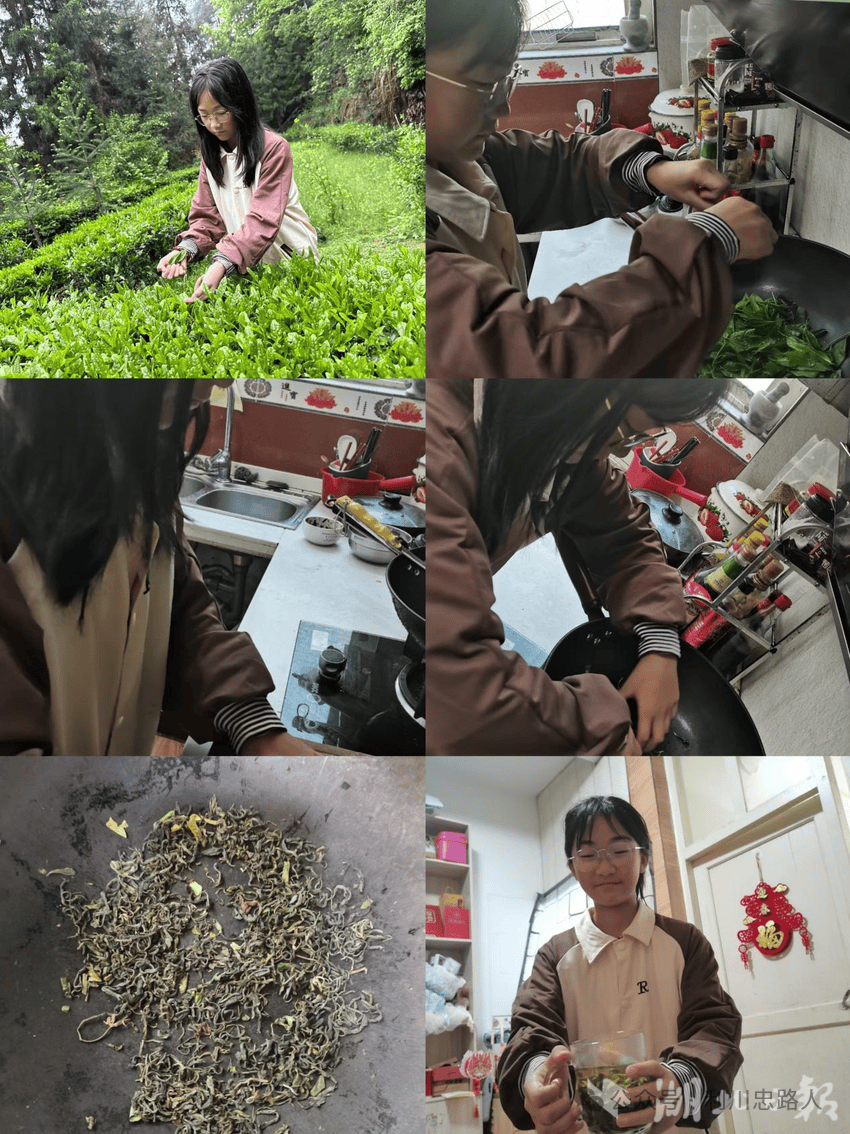 利川忠路镇民族小学开展五一"采茶,炒茶"劳动实践活动