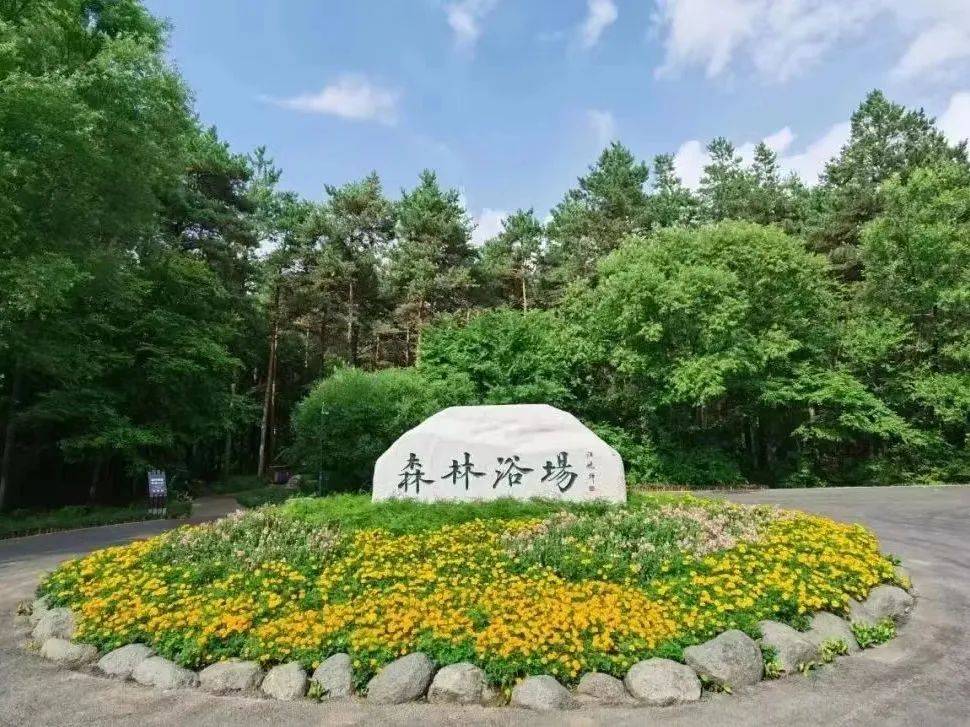 长春_公园_净月潭