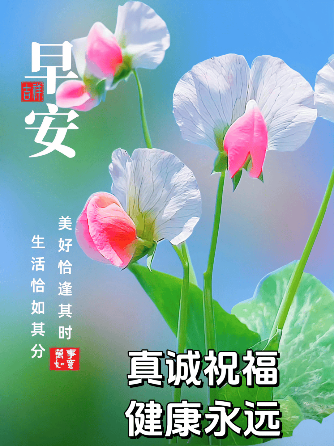 2024年5月9日-最新漂亮的早上好图片祝福