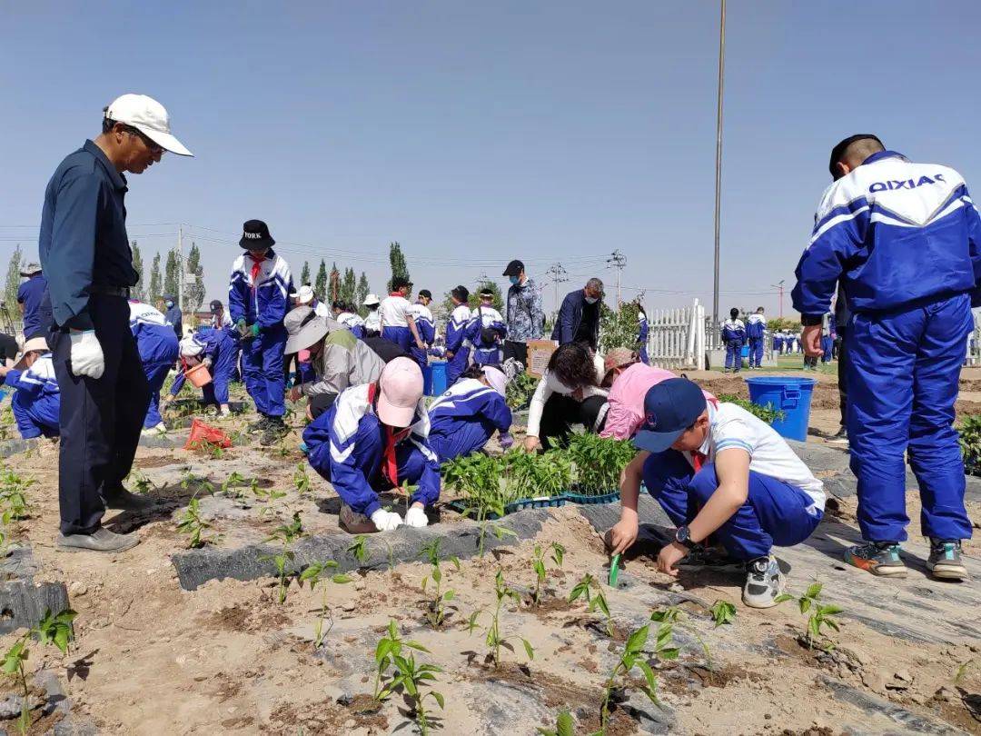 少年劳改学校图片