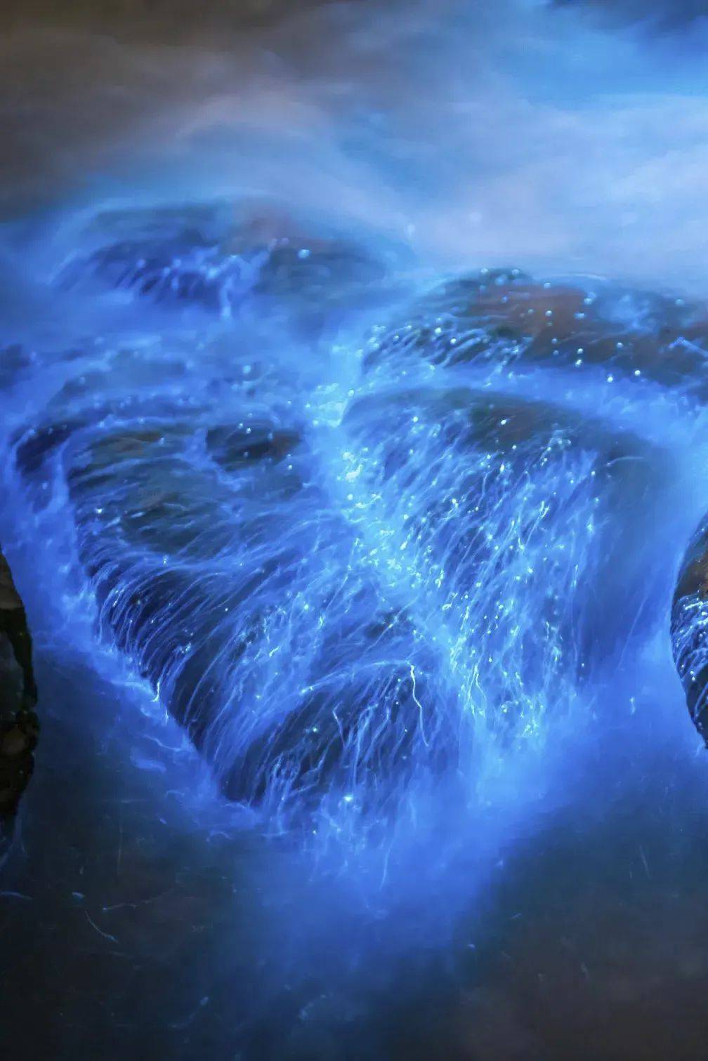 追一场梦幻蓝眼泪,"22个世界遗产点"泉州,簪花换装体验,全程四钻,1晚